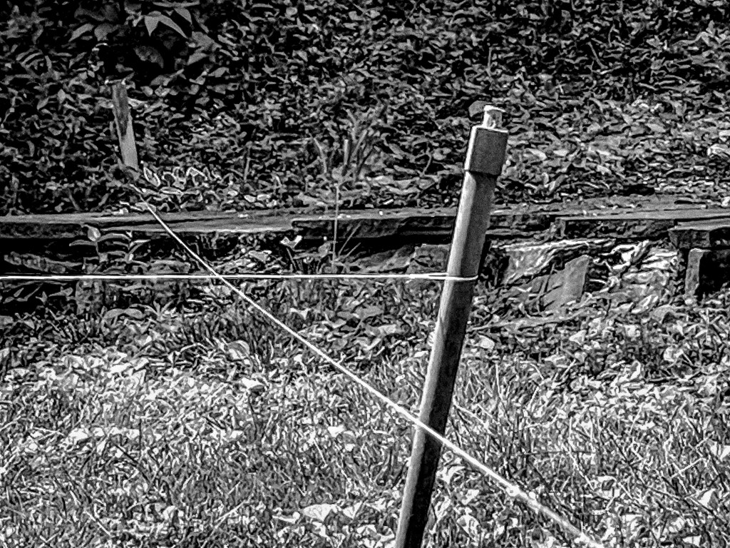 String strung taught between stakes