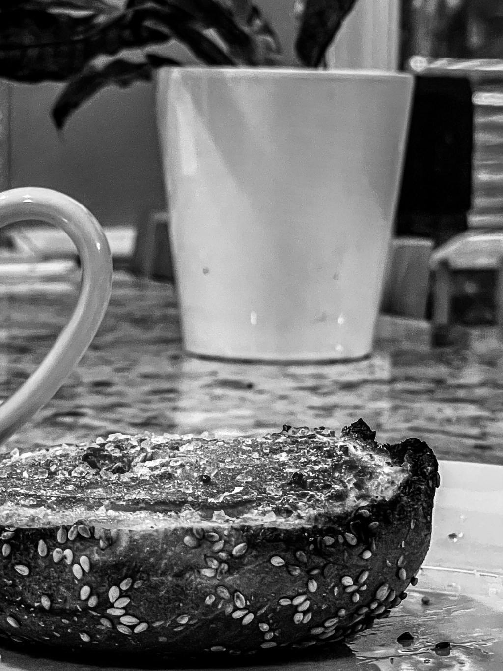 PrOjEcT Nine—Bye, Bagel