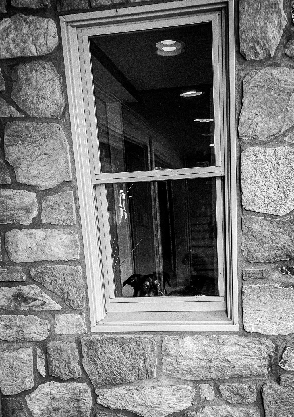 Personal Statement – A PoetProjects&nbsp;Blog