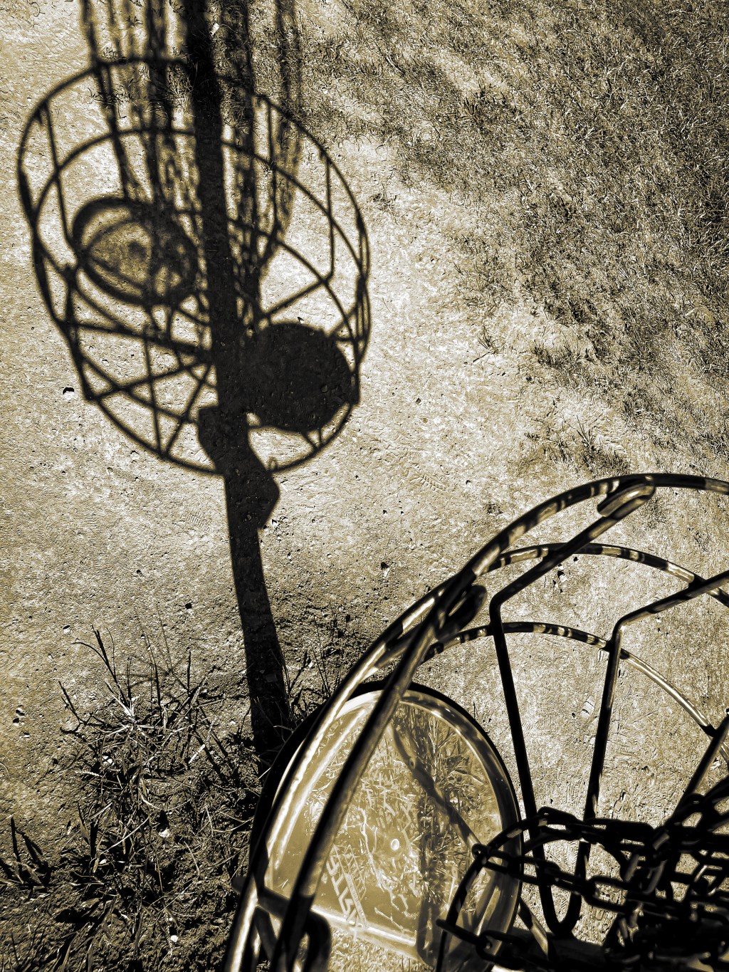 Disc golf – PrOjEcT Twenty-six