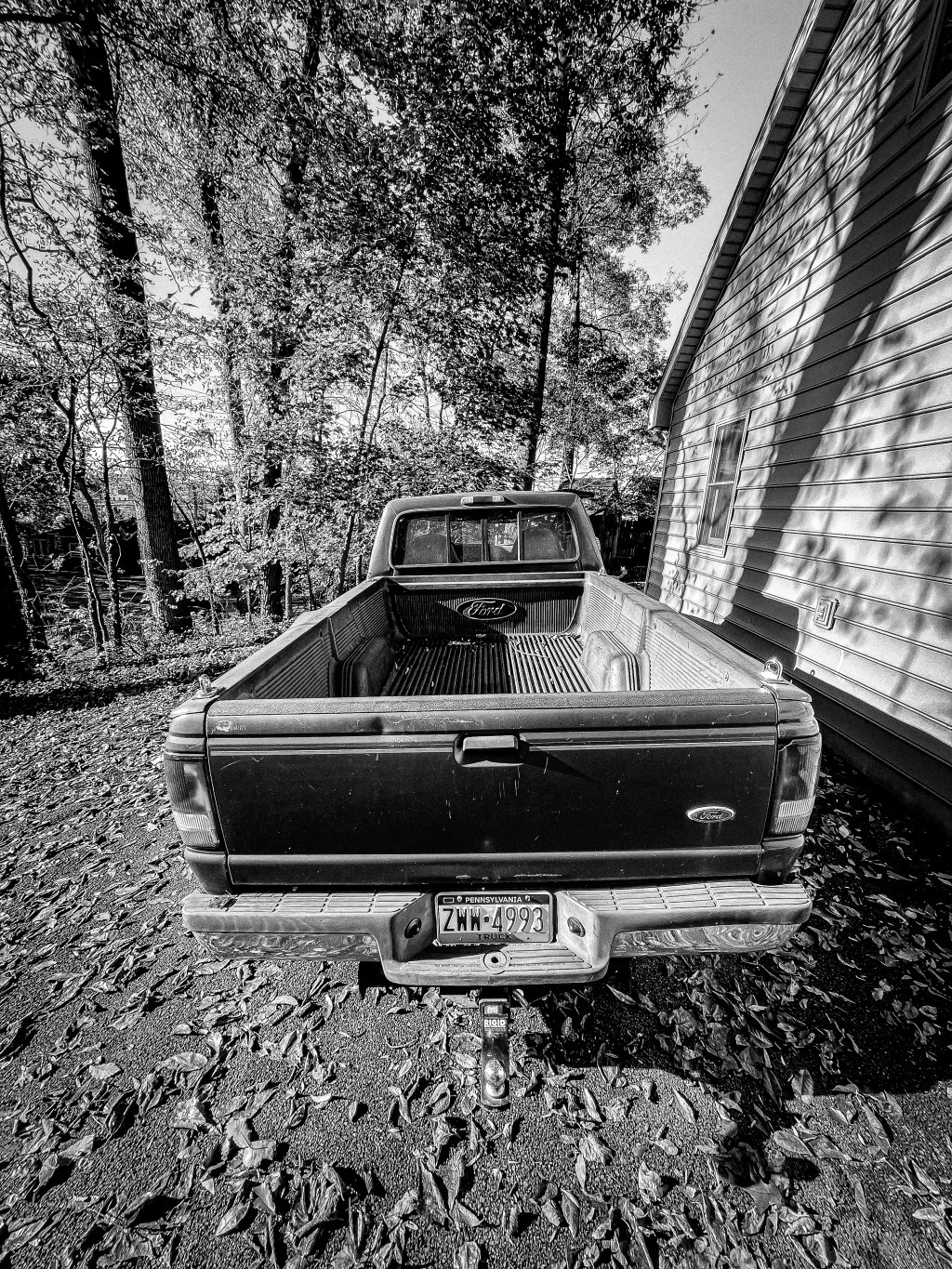 Of Rhyme and&nbsp;Reason