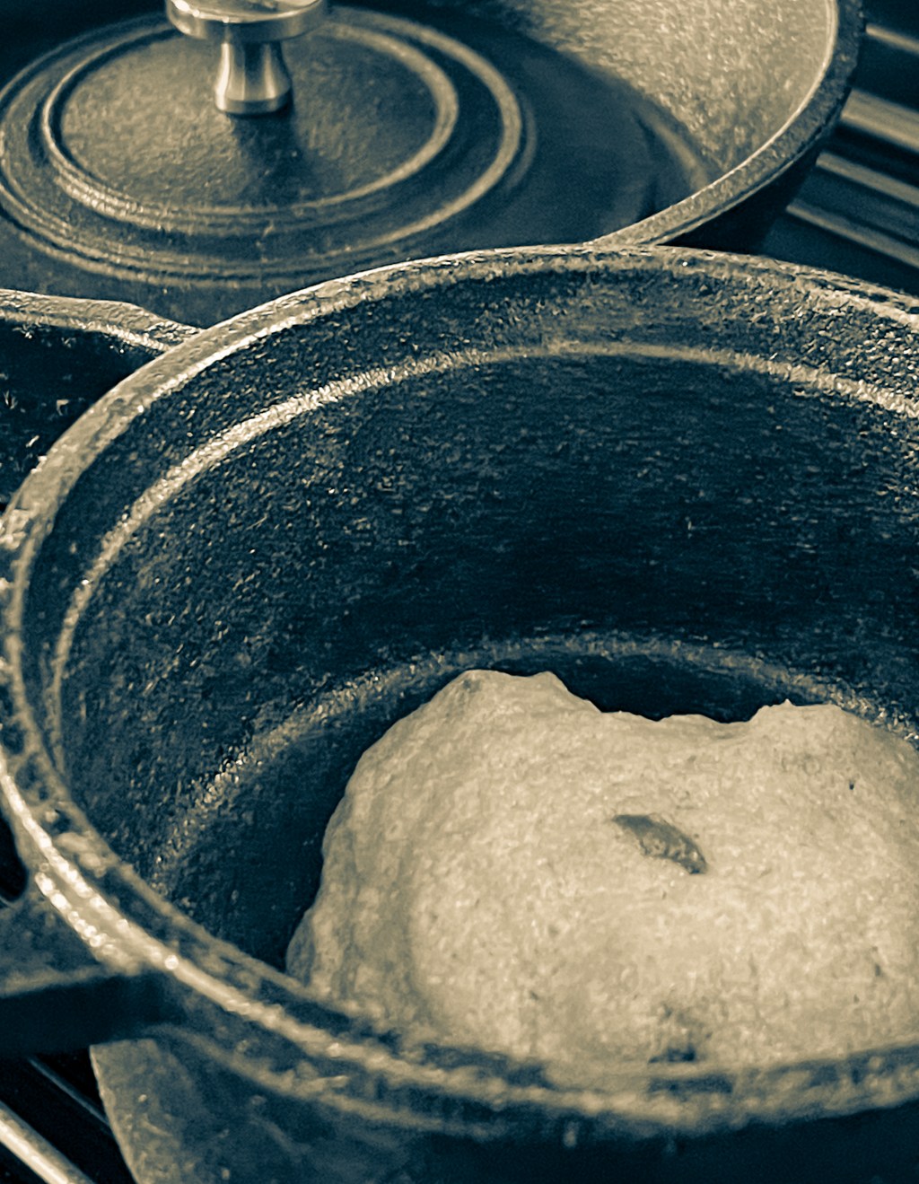 I Love Chocolate Chip Cookies