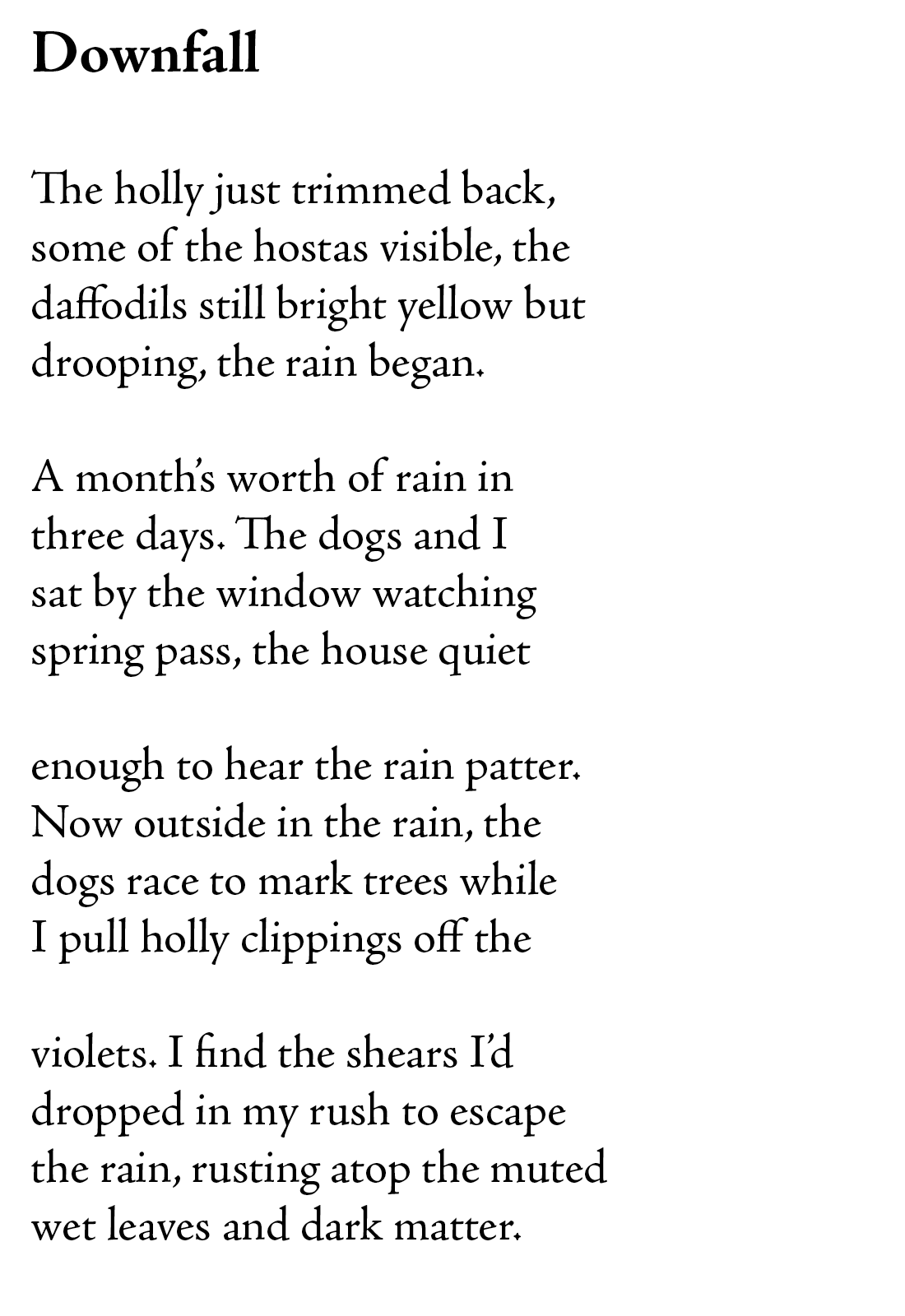 Downfall

The holly just trimmed back,
some of the hostas visible, the 
daffodils still bright yellow but
drooping, the rain began.

A month’s worth of rain in 
three days. The dogs and I
sat by the window watching
spring pass, the house quiet

enough to hear the rain patter.
Now outside in the rain, the
dogs race to mark trees while
I pull holly clippings off the 

violets. I find the shears I’d
dropped in my rush to escape
the rain, rusting atop the muted
wet leaves and dark matter.
