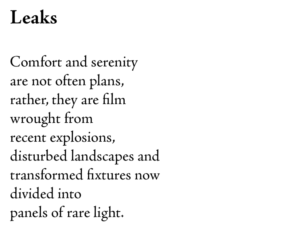 A poem entitled Leaks