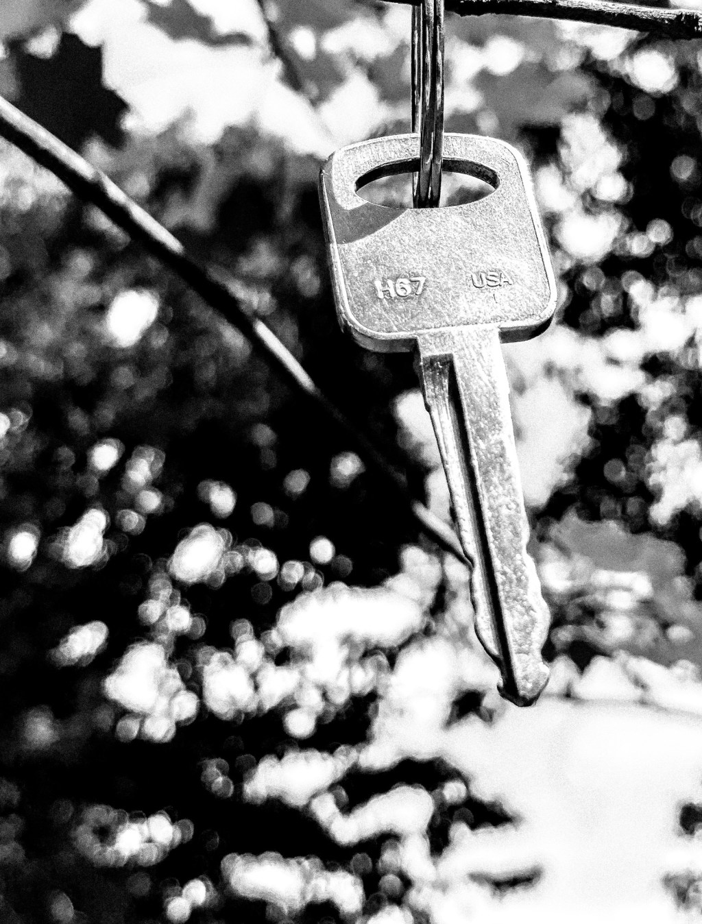 But Then Be Forceful and Please Take My&nbsp;Keys