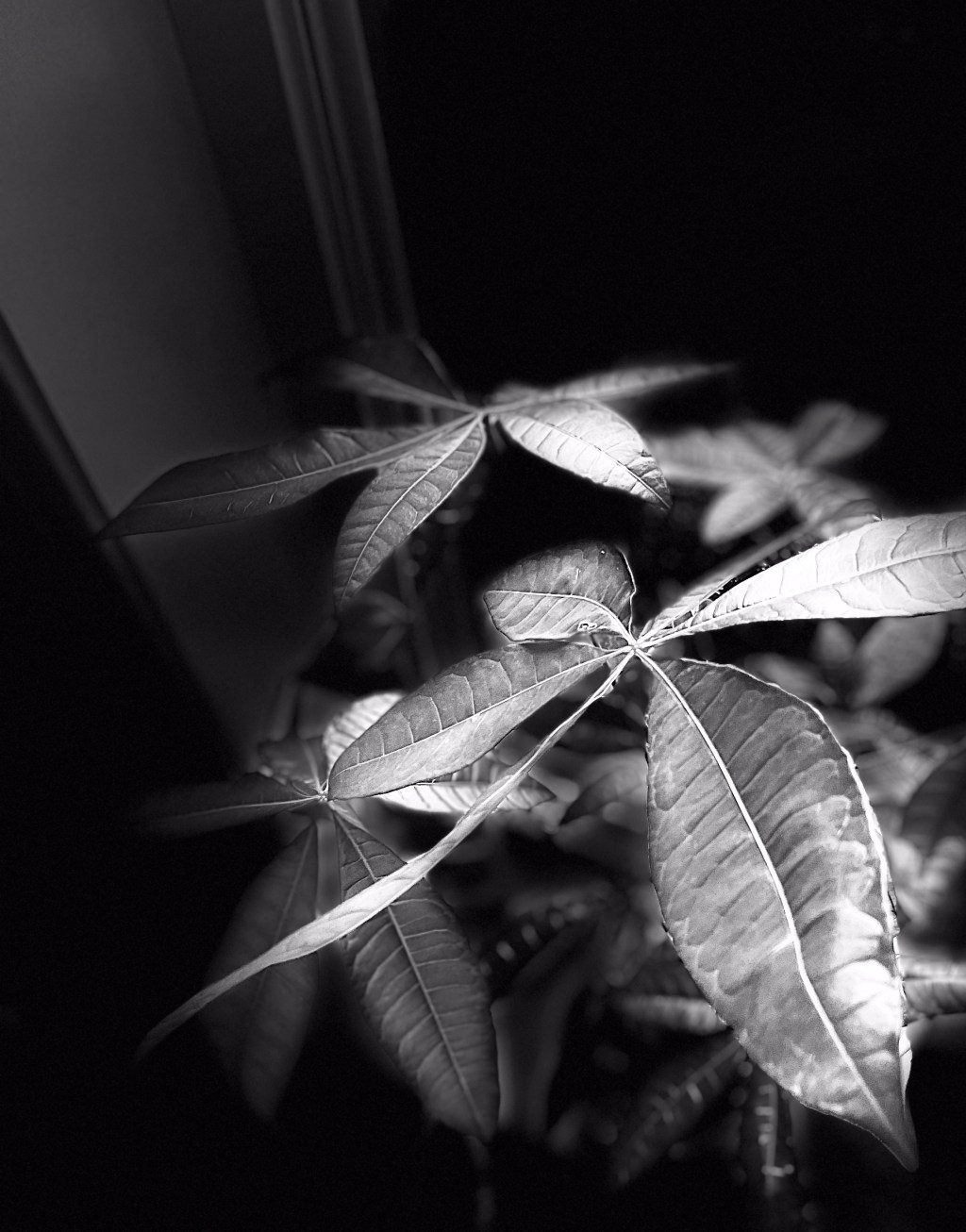 it turns out&nbsp;that