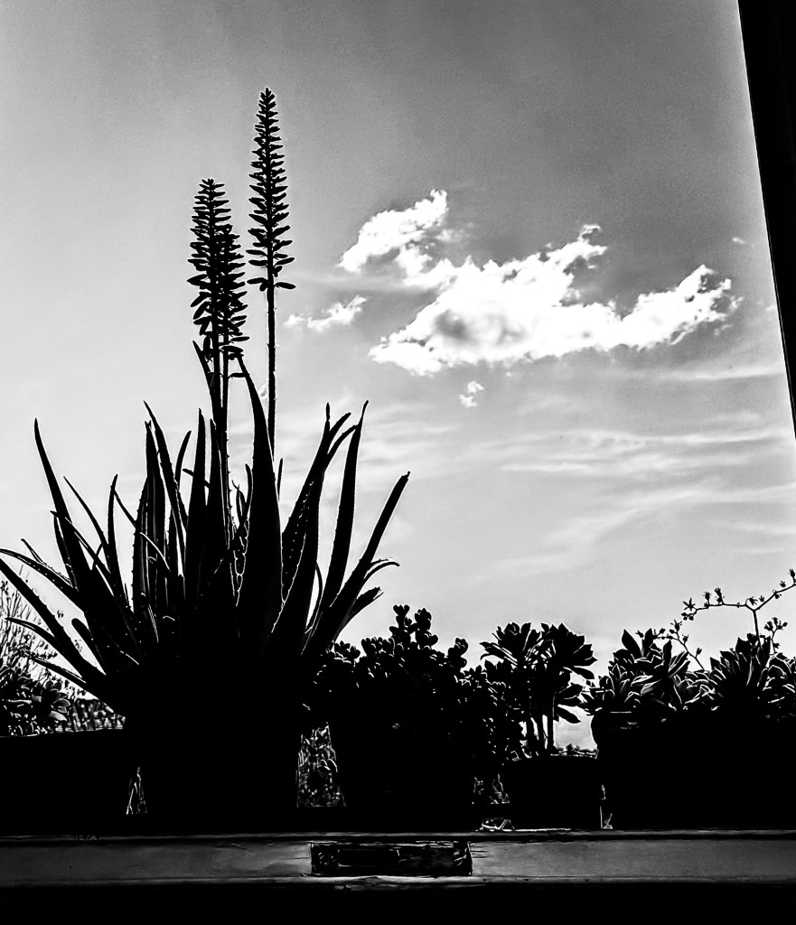 A window view in Florence, Italy