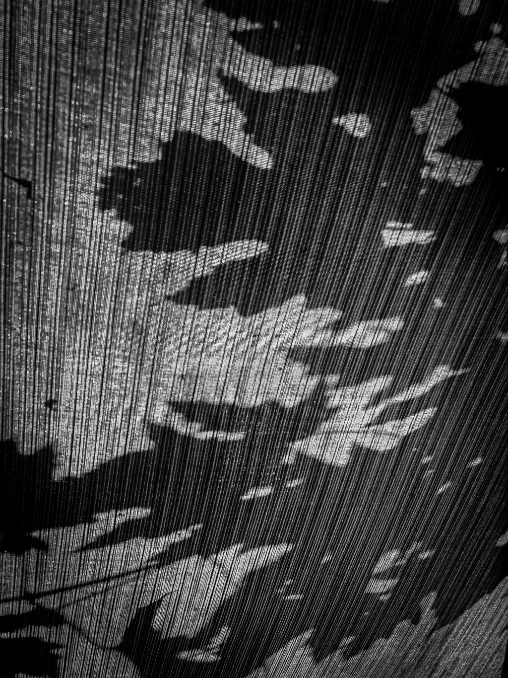 Those critics told me not to&nbsp;see