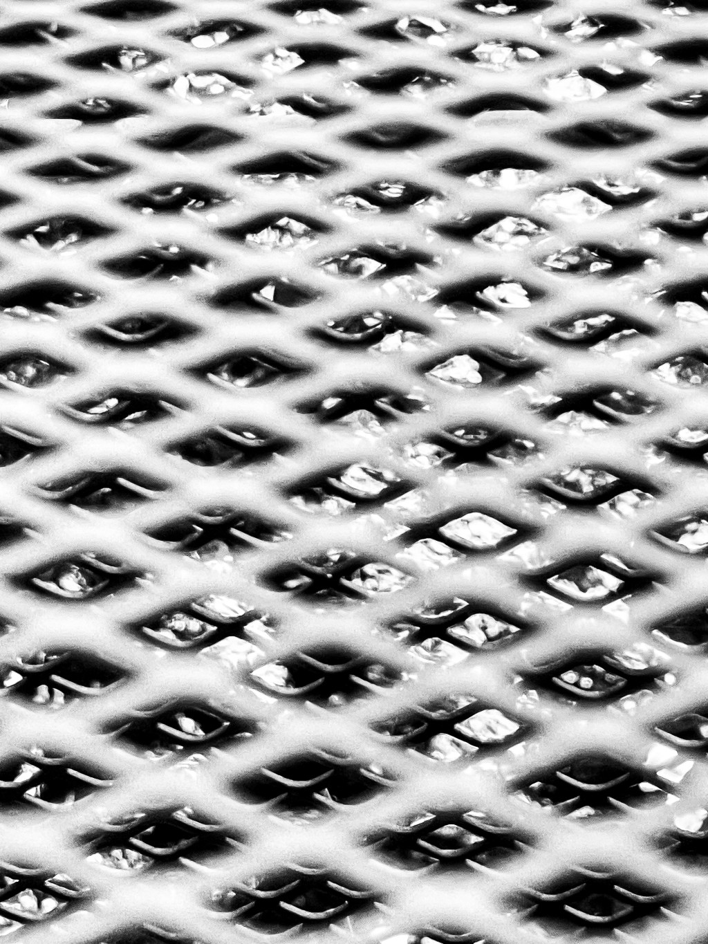 A bee stung me between my&nbsp;toes