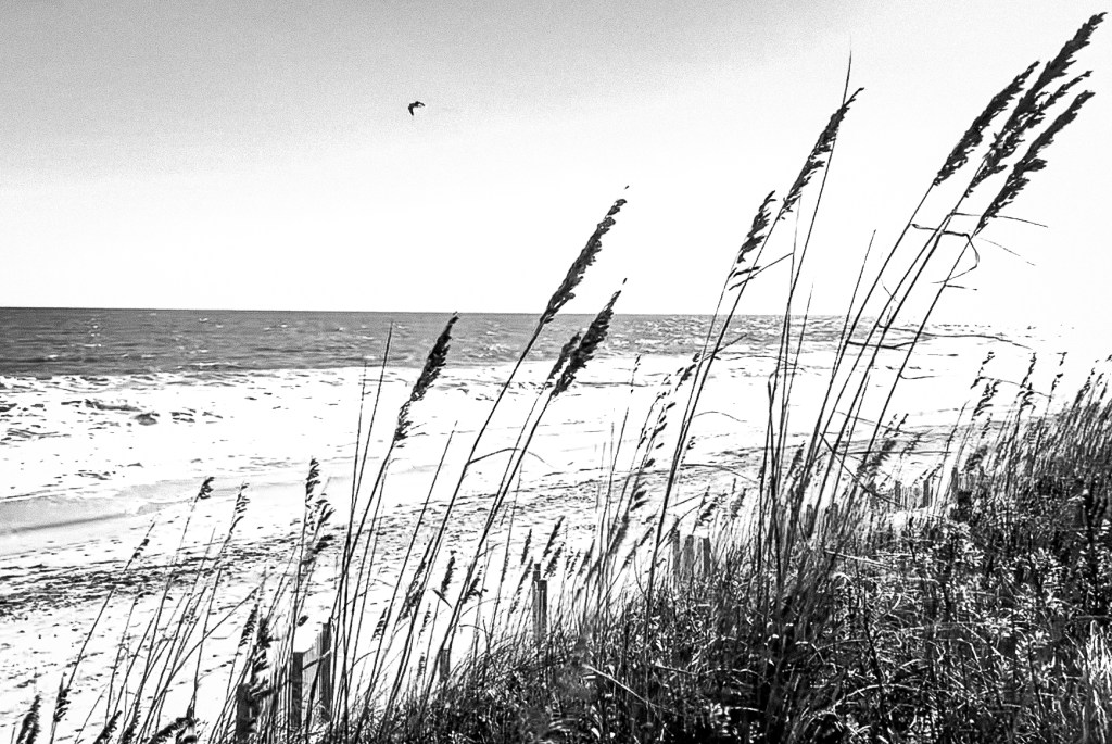 If you and I re-place with&nbsp;joy