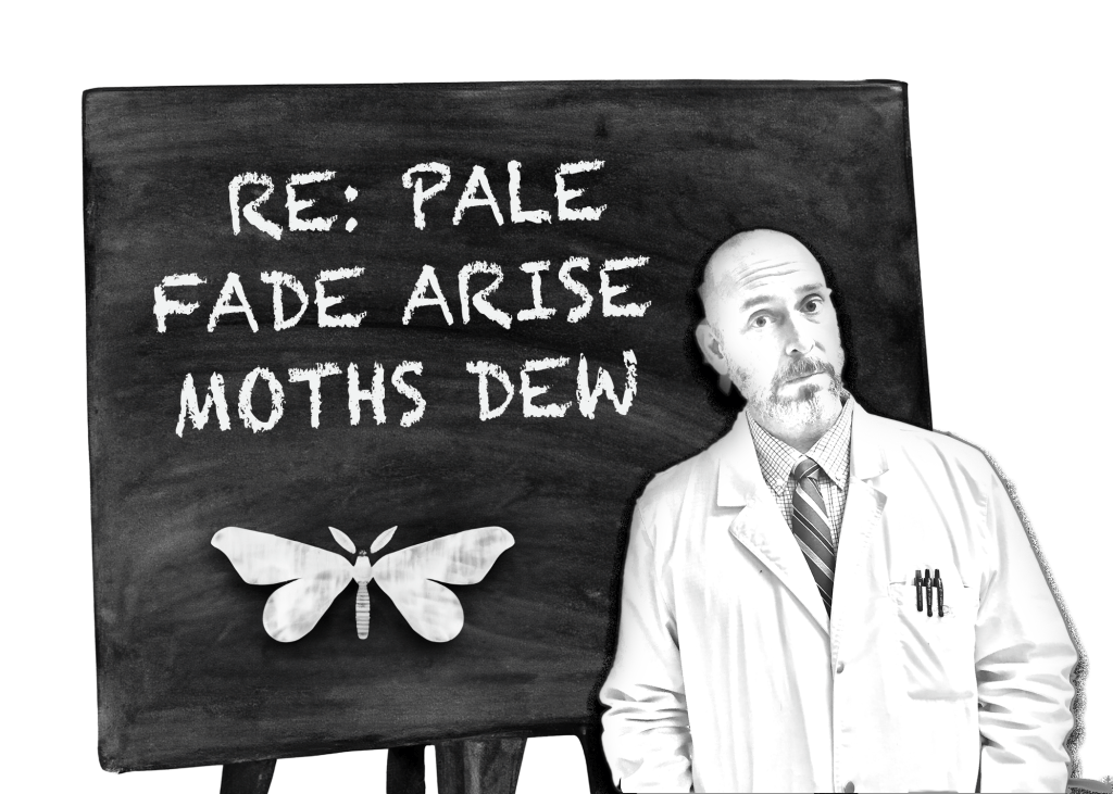 re: Pale fade arise moths&nbsp;dew