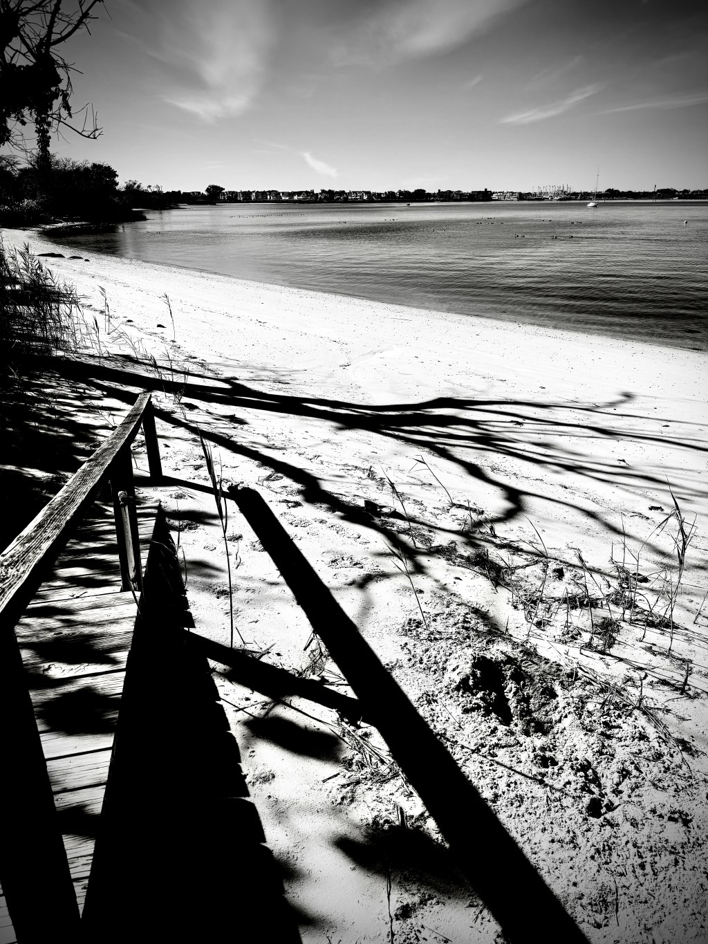 So Now We Haunt–A Marla&nbsp;Poem