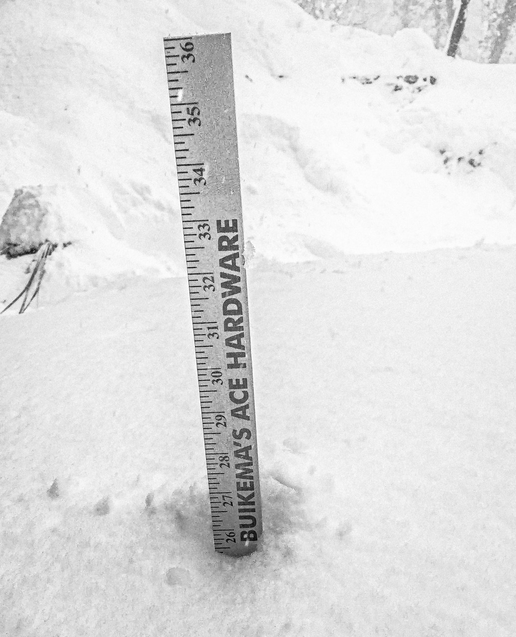 and caffeine augmented their&nbsp;efficacy