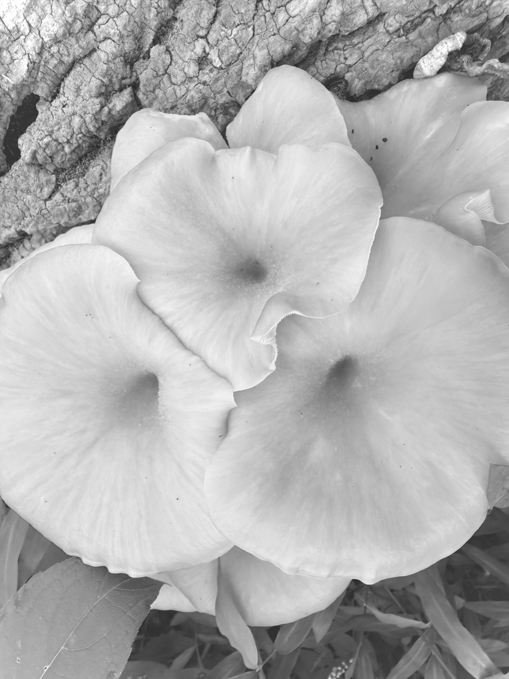 “Sorry to Bother You,” Mom&nbsp;Said.