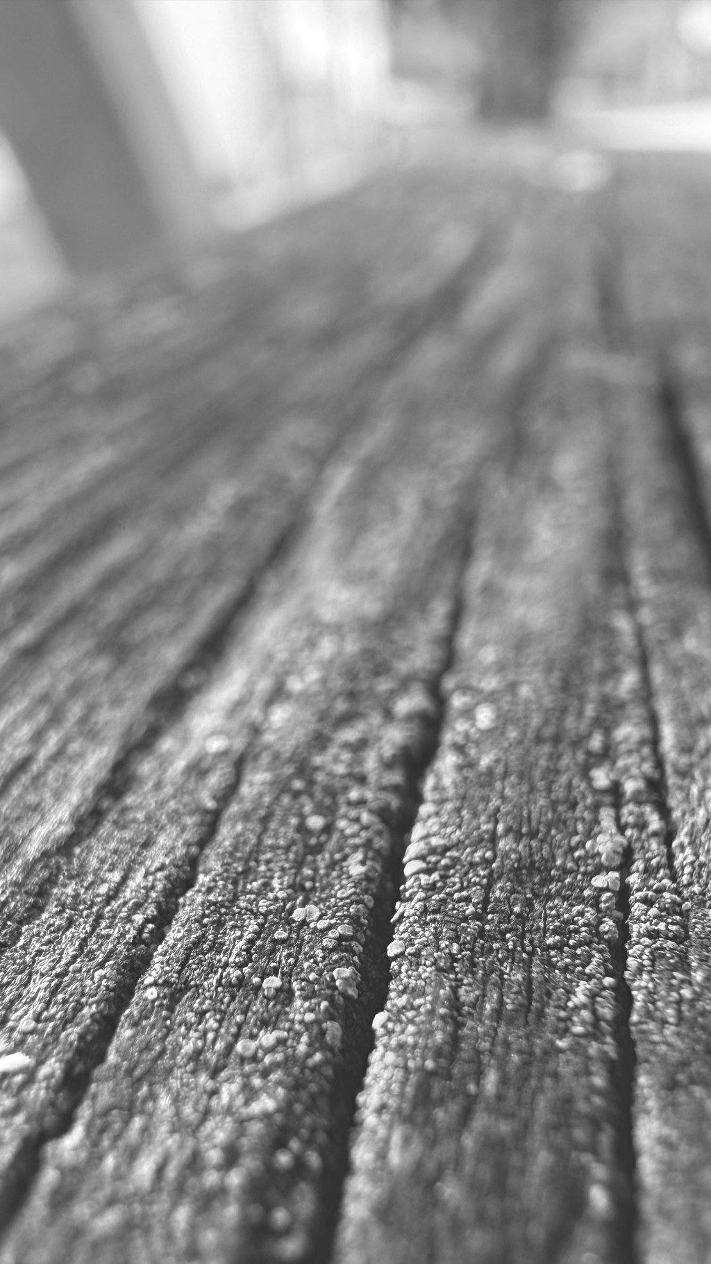 The Poet That is Afraid to Read His Poems Finally&nbsp;Does