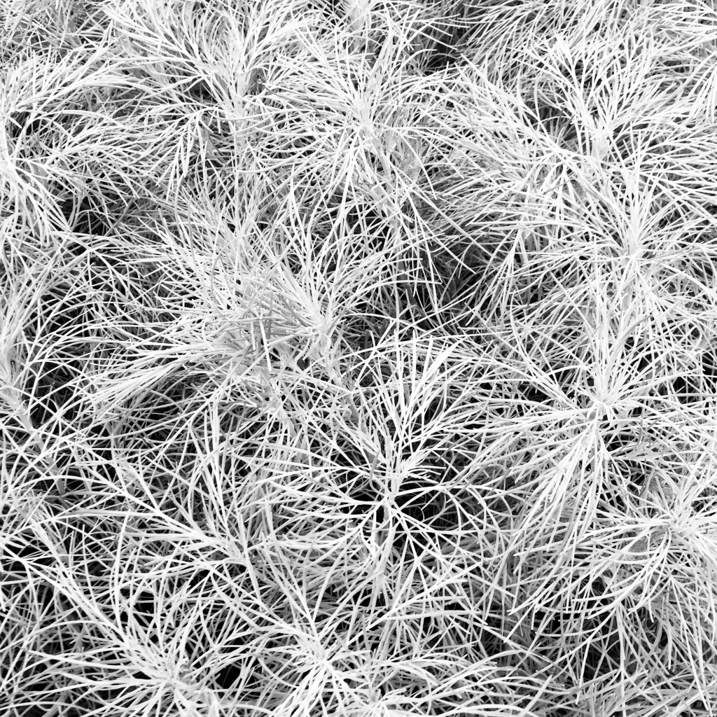 Unwarming — A short slanted poem