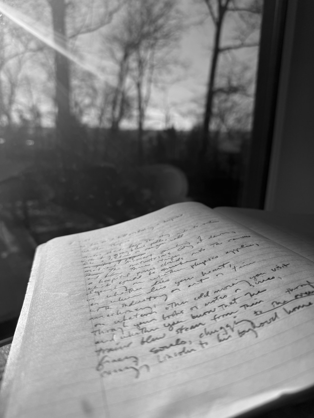 Training — A Poem about Seeing