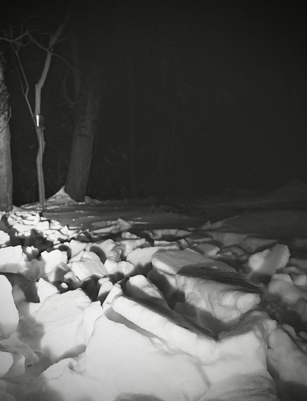 Reflections on Charcuterie Boards and Poetry